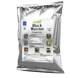 BLACK WARRIOR