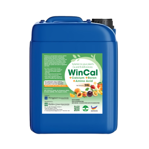 WINCAL